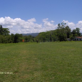 Fields