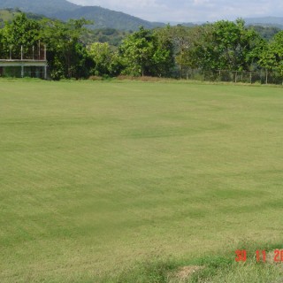 Fields