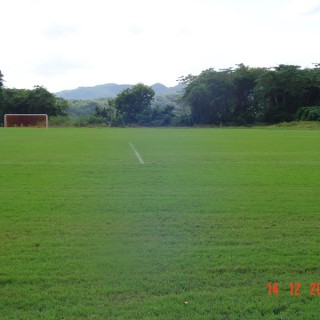 Fields