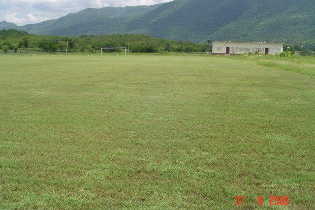 Fields