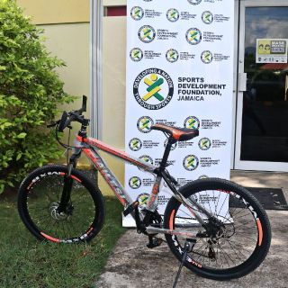Christmas Gift - Ailesi Bicycle