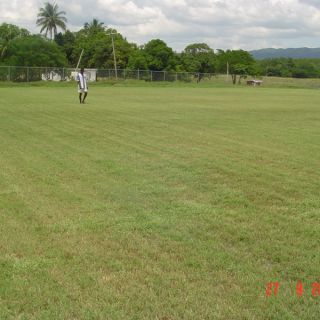Braes River, St. Elizabeth JA